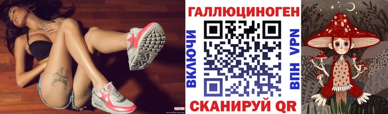 Купить где  Волгодонск  Псилоцибиновые грибы GOLDEN TEACHER 